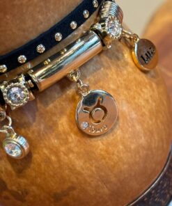 Alternative view of Chocker Signo Touro